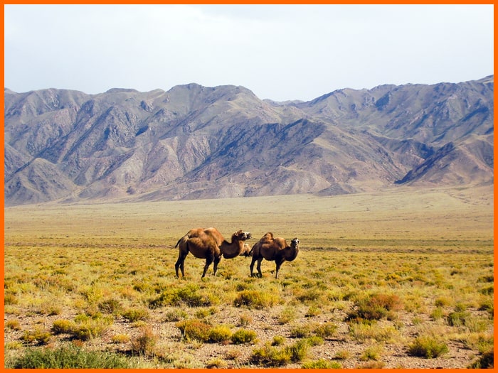 Silk Road, Kyrgyzstan tours